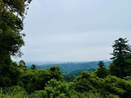 高尾山登山と新緑