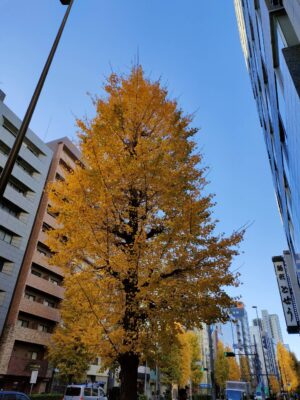 スタッフブログ