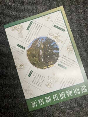 謎解きウォーク